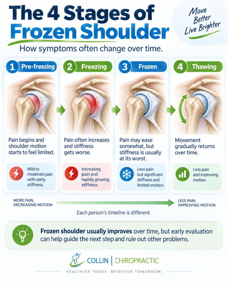 Original Collin Chiropractic infographic showing pre-freezing freezing frozen and thawing stages of adhesive capsulitis