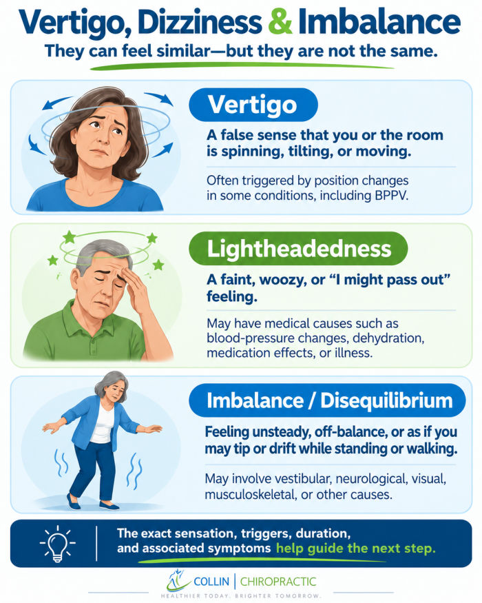 Collin Chiropractic infographic explaining the difference between vertigo lightheadedness and imbalance or disequilibrium